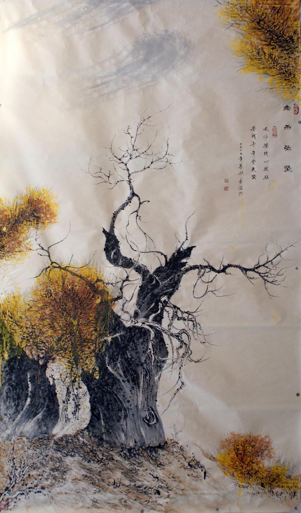 胡杨系列 0052